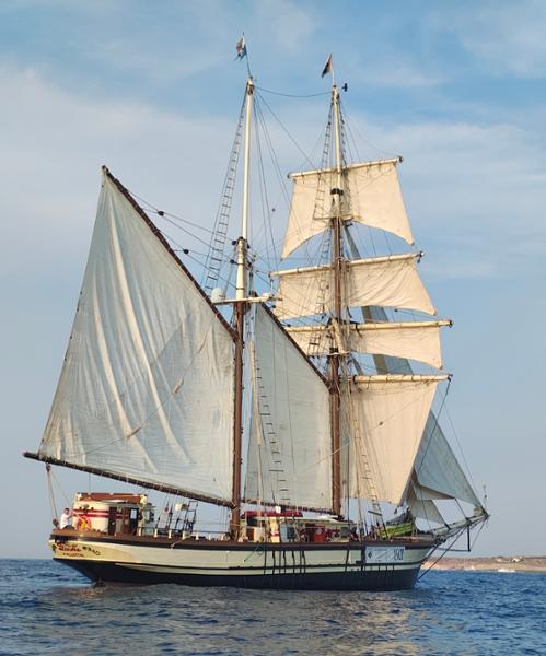 Tall Ship Sailing in Malta