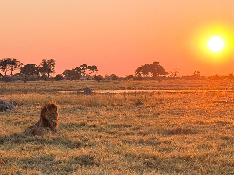 Trip of a lifetime - Ready to book again!