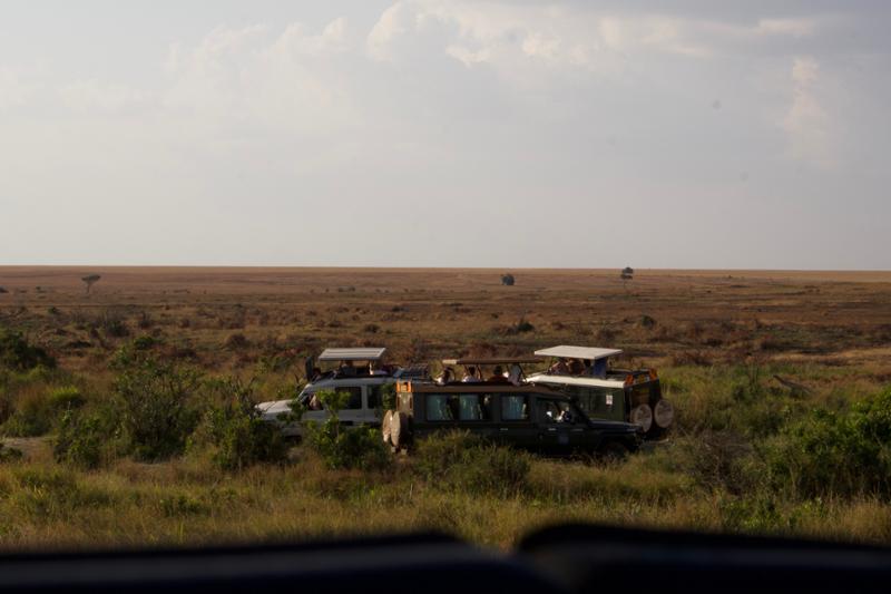 Kenya & Tanzania Safari 2026