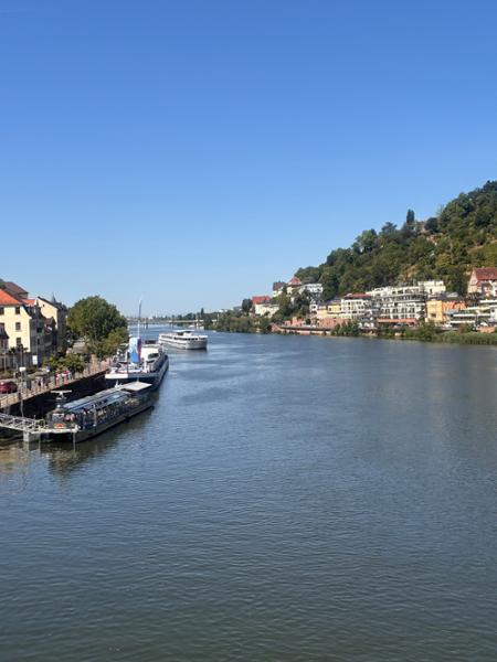 Cologne  the Rhine Gorge & Medieval Germany River Cruise