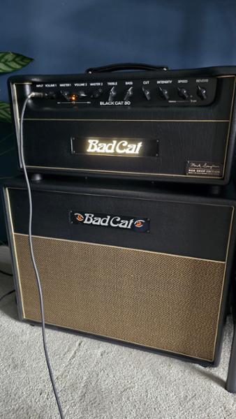 Bad Cat Mod Shop Black Cat 30 Valve Amp Head