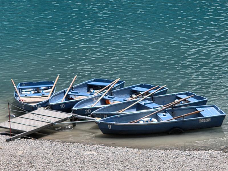 Your holiday: Scenic Swiss Alps - Guided Walking