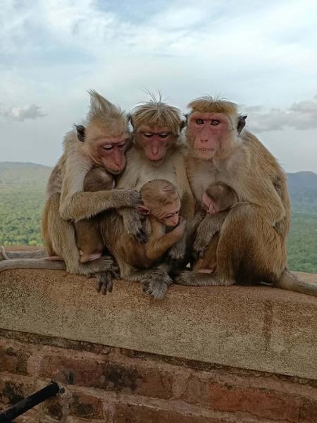5898-India & Sri Lanka Discovery