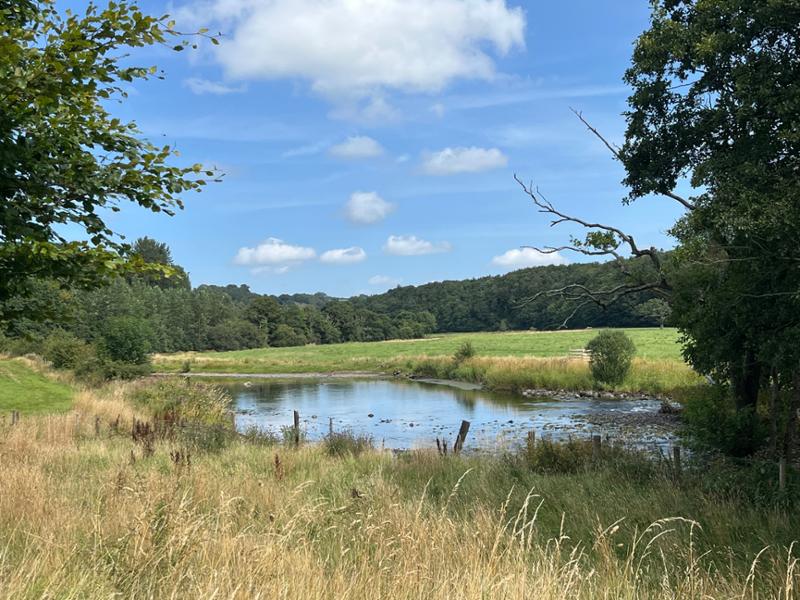 Great place for walking and water.
