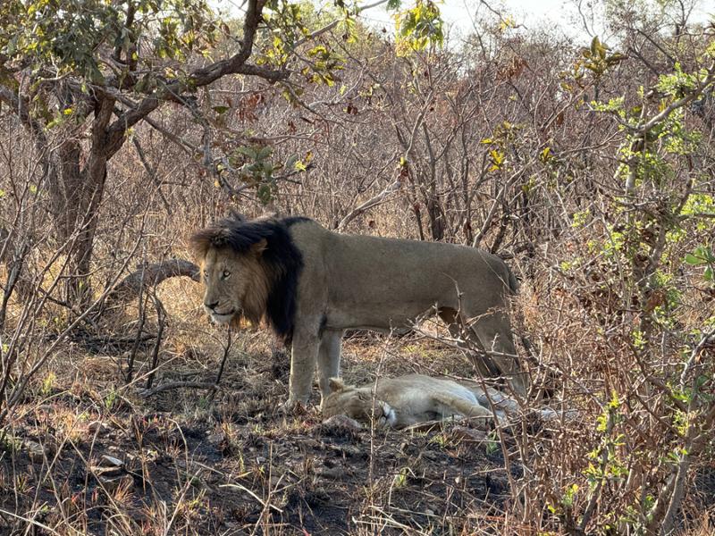 5589-2 for 1 South Africa & Victoria Falls
