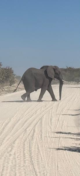 5462-Ultimate African Adventure