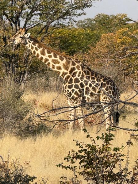 5462-Ultimate African Adventure