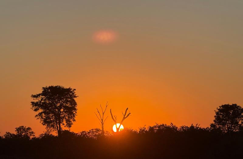 5462-Ultimate African Adventure
