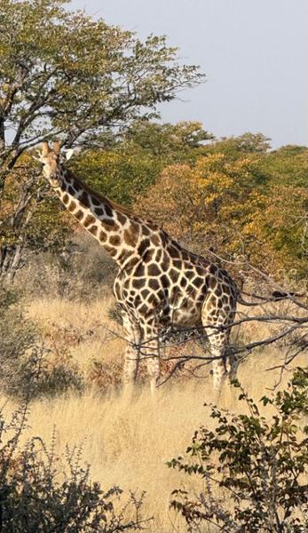 5462-Ultimate African Adventure