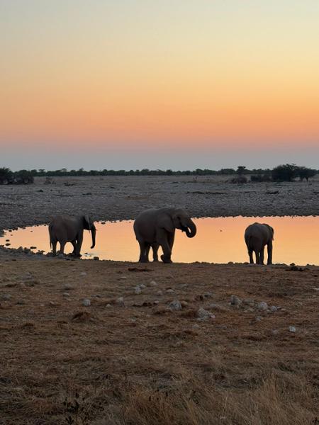 5462-Ultimate African Adventure