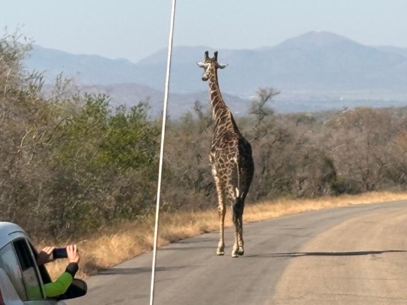6132-Grand Kruger Safari & Cape Town