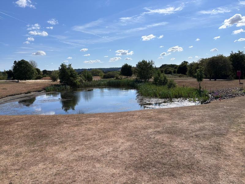 Belting golf at Belton Woods
