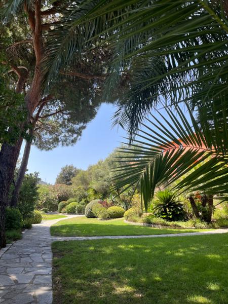 Would definitely recommend both Le Home and Corsican Places