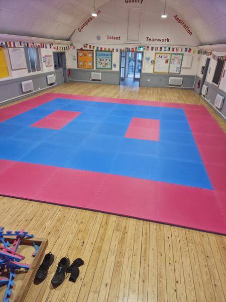 Cannons UK Premium Red and Blue 40mm Tatami MMA Jigsaw Mats 1+
