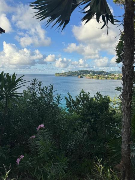 Sandals Regency La Toc