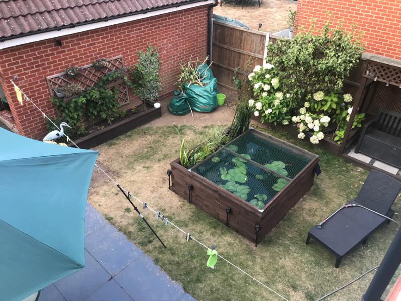 Raised pond