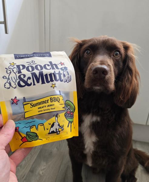 BBQ Beef Jerky for Dogs | 90% Baltic Beef | 90g | High Protein Dog Treats | Pooch & Mutt | Grain-Free