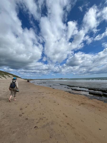 A great introduction to a short walking trip from Alnmouth to Bamburgh