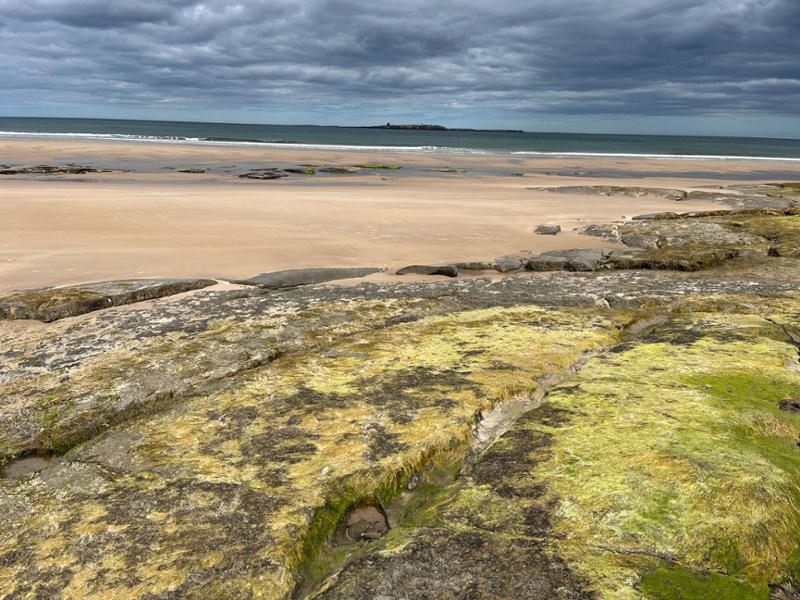 A great introduction to a short walking trip from Alnmouth to Bamburgh