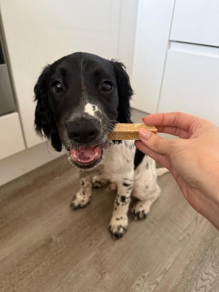 Cheese Dental Sticks For Dogs | 7 Sticks | Dental Chews with Cheese For Dogs | Grain-Free & Vegetarian | Pooch & Mutt | Grain-Free & Vegetarian