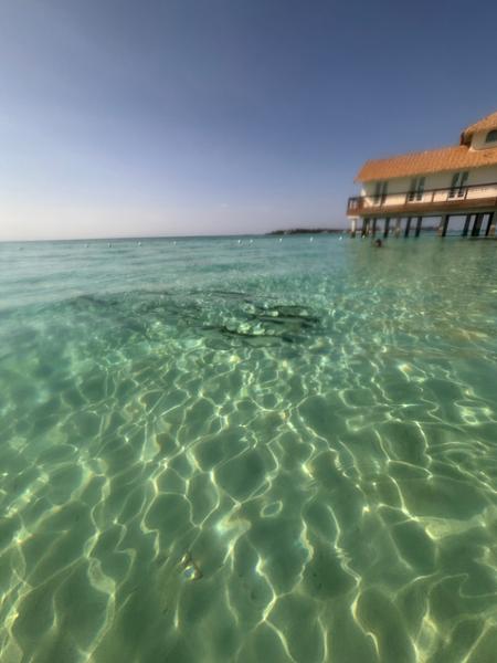 Sandals Royal Bahamian