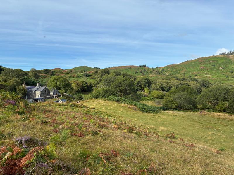 Hafod y Fedw