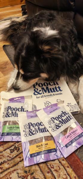 Meaty Dog Treats Bundle | 3 Flavours | 3 x 120g | Natural Dog Training Treats | Pooch & Mutt | Grain-Free