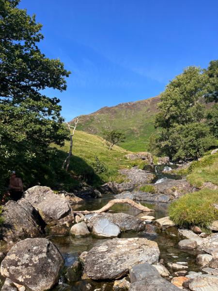 Hafod Y Llan Campsite