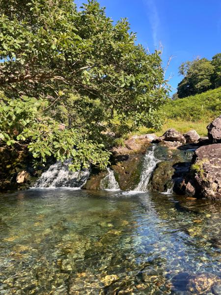Hafod Y Llan Campsite