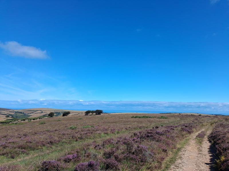 Your holiday: Exmoor  - Self Guided Walking