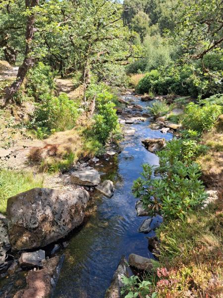 Your holiday: Exmoor  - Self Guided Walking