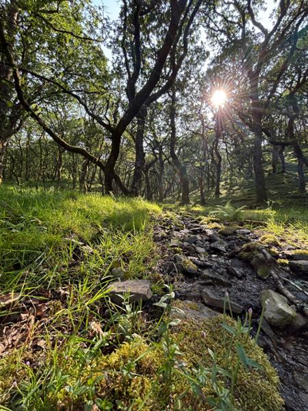 Retreat in blissful nature