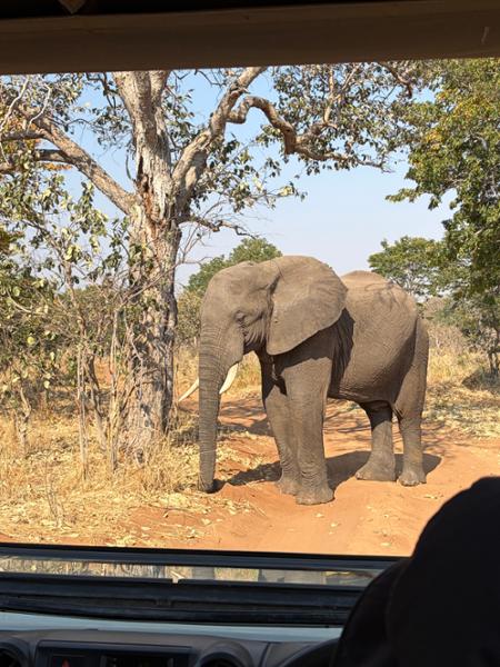 5868-South Africa & Victoria Falls 2026 for 2