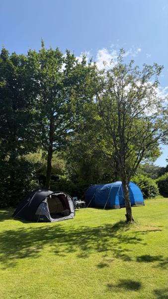 Wasdale Campsite