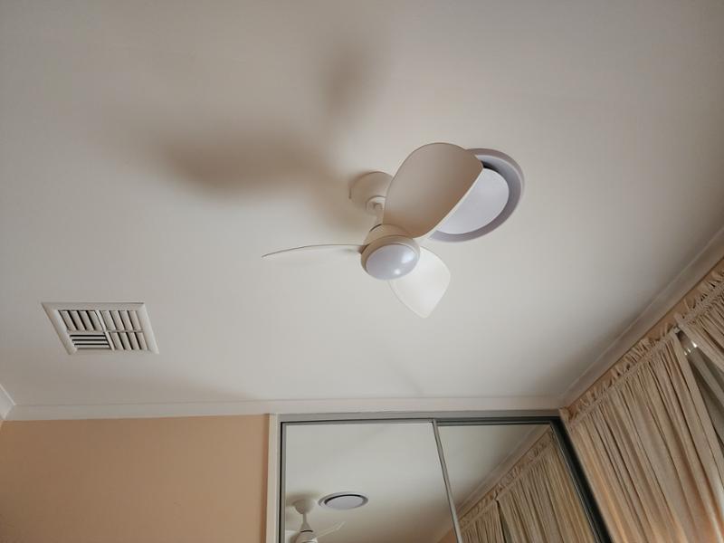 Great fan from excellent online business