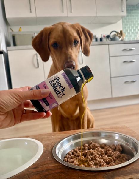 Pooch & Mutt Hemp Oil for Dogs | 250ml | 100% Hemp Oil | Omega 3 For Dogs | Supports Everyday Wellbeing | For Anxious Or Excitable Dogs