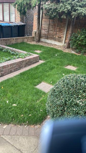 Lawn Turf from £2.59 per 1m2 - Garden Turf - Fresh Lawn Turf Rolls - Buy 10 - 1700+ Online