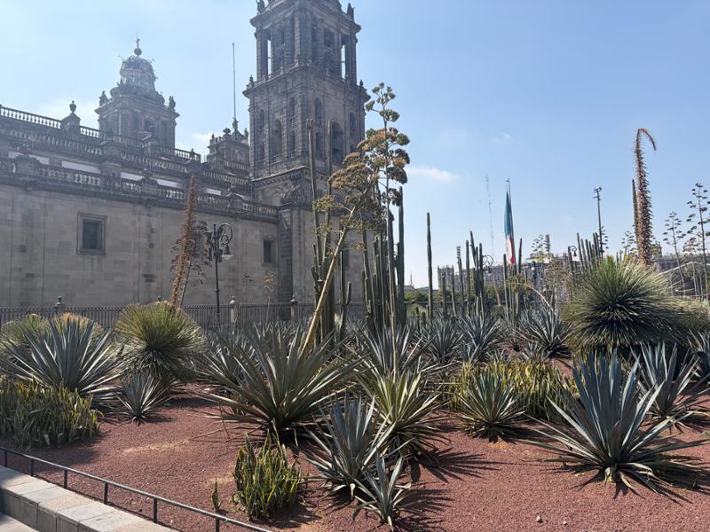 A Good Taste of Central 🇲🇽 Mexico 🇲🇽