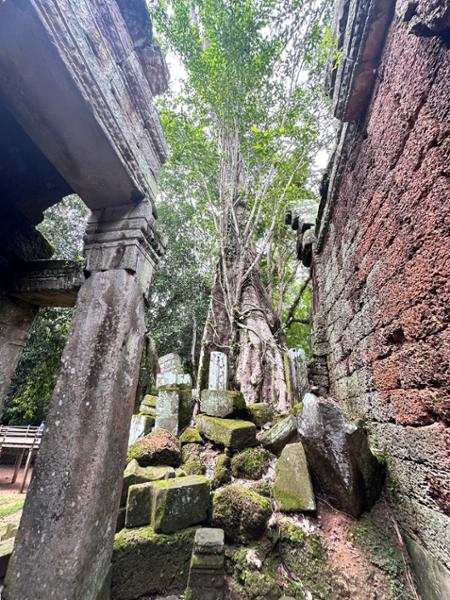 5684-Vietnam & Cambodia Discovery