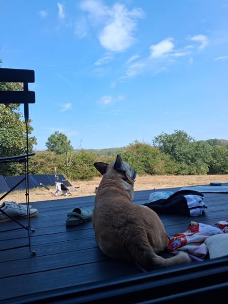 Perfect break