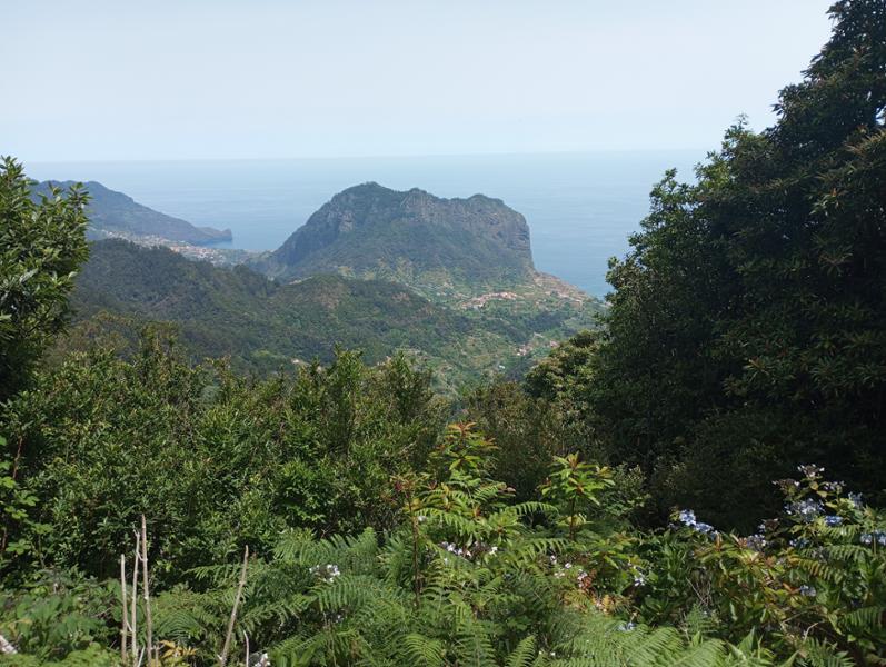Experiencia recomendable por Madeira. Senderismo.