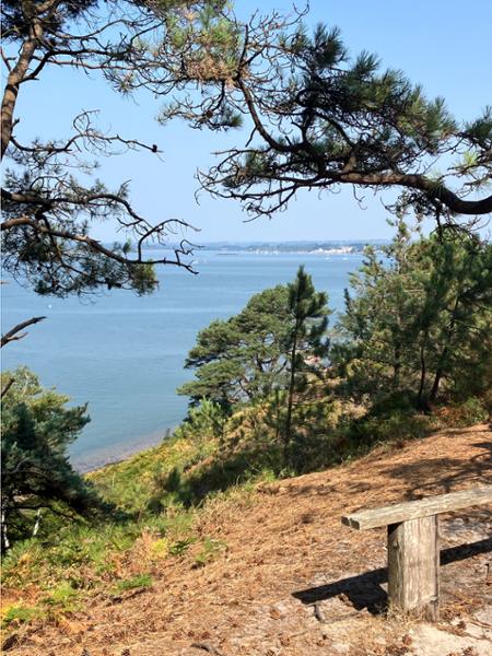 Brownsea Island Campsite