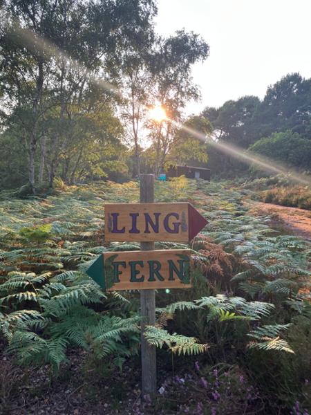 Brownsea Island Campsite