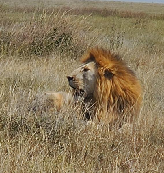 Best Safari ever!