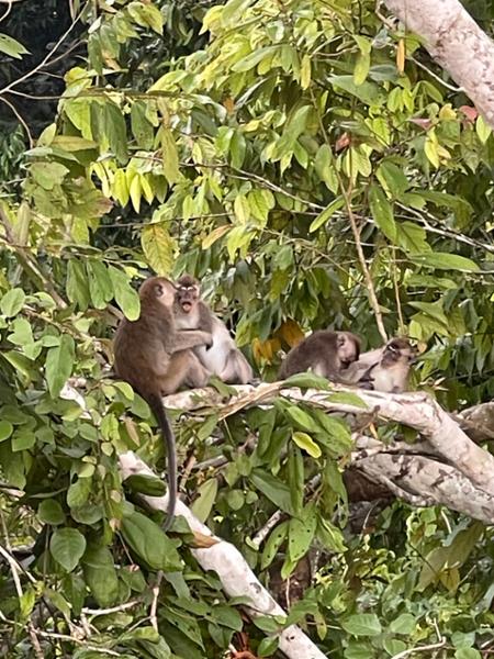5862-Best of Borneo