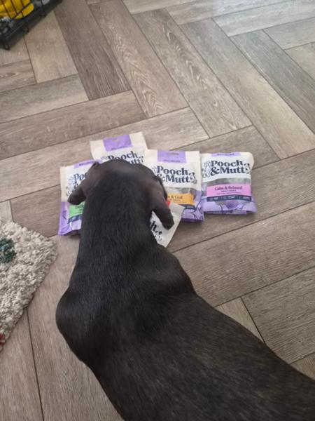 Health & Digestion Probiotic Fish Treats