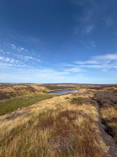 Your holiday: North York Moors  - Guided Walking