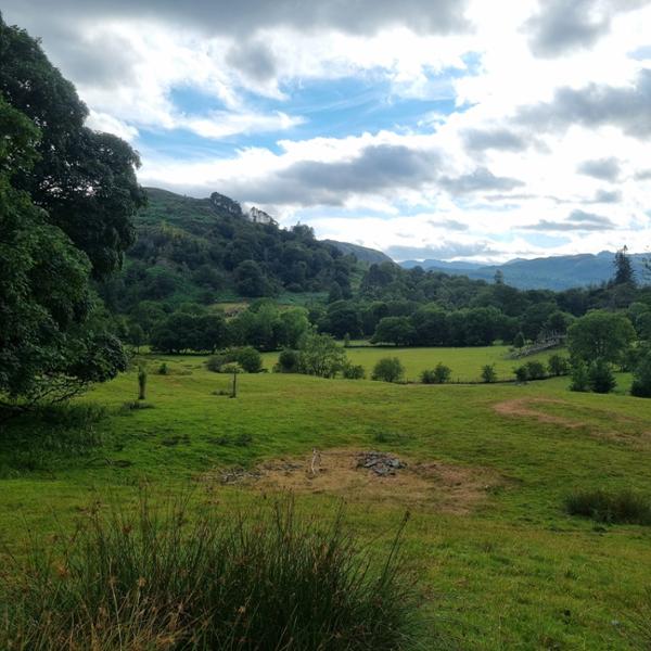 Low Wray Campsite