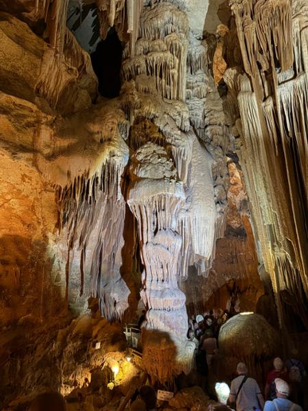Burgundy  the River Rhone & Provence Cruise