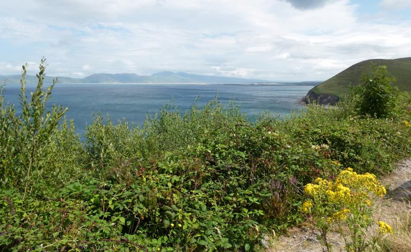 Britain and Ireland Explorer